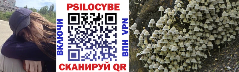 Галлюциногенные грибы Magic Shrooms  Купить закладки  Электроугли 